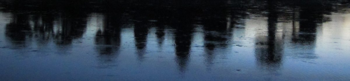 Wendy's Out of Station