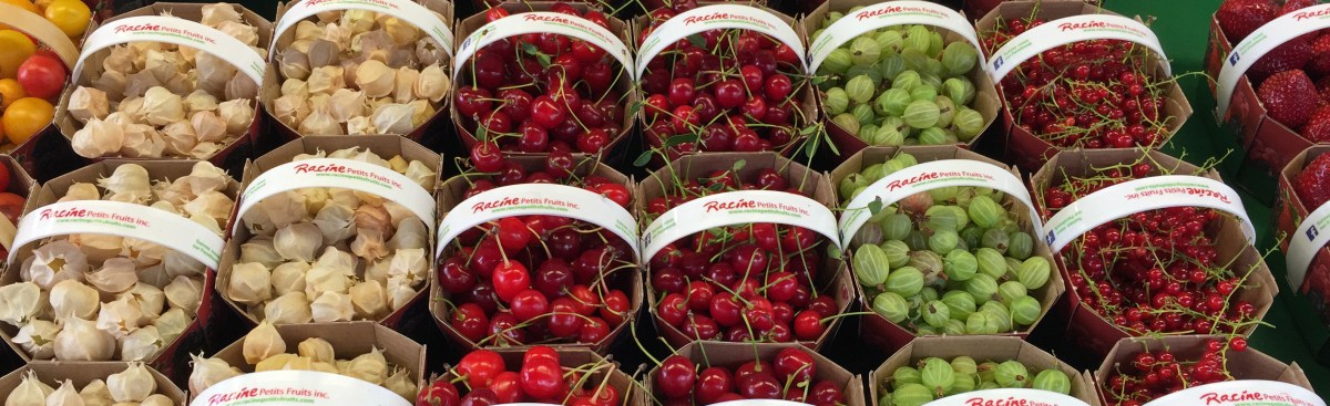 More Market Magnificence