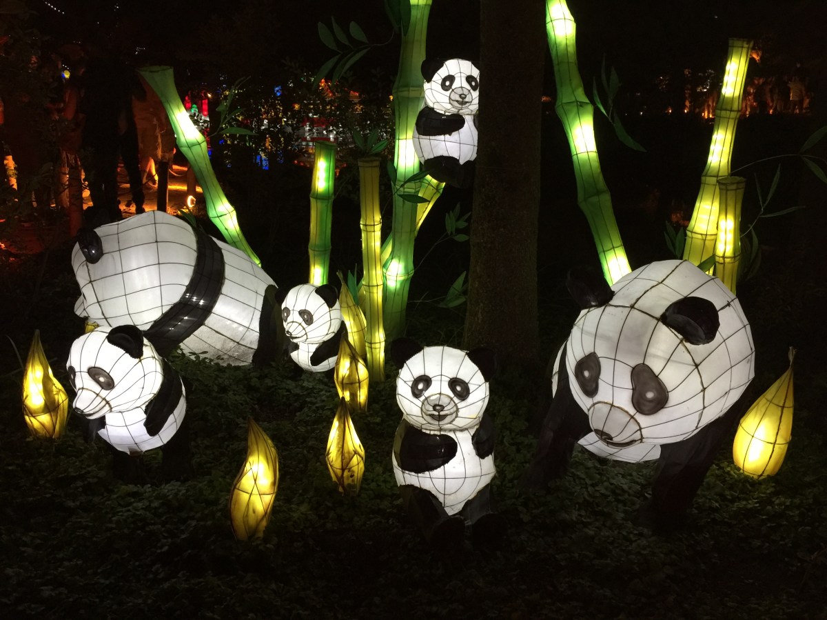 The Garden of Light and&nbsp;Imaginings