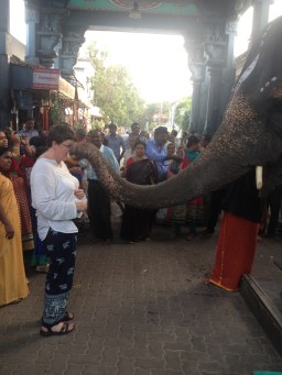 day-15-img_5659-blessed