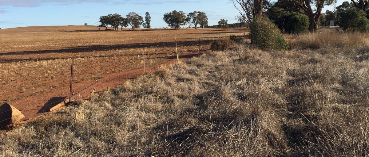 Muddled space for new&nbsp;beginnings