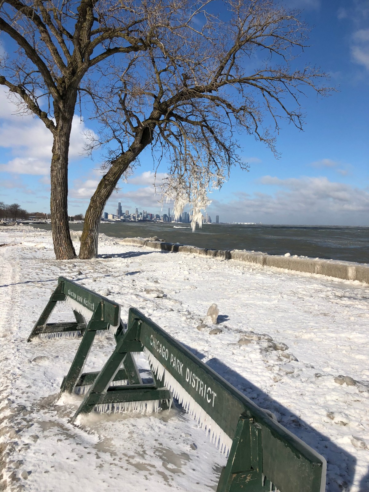 Not even mad dogs & Englishmen go out in this midday&nbsp;sun